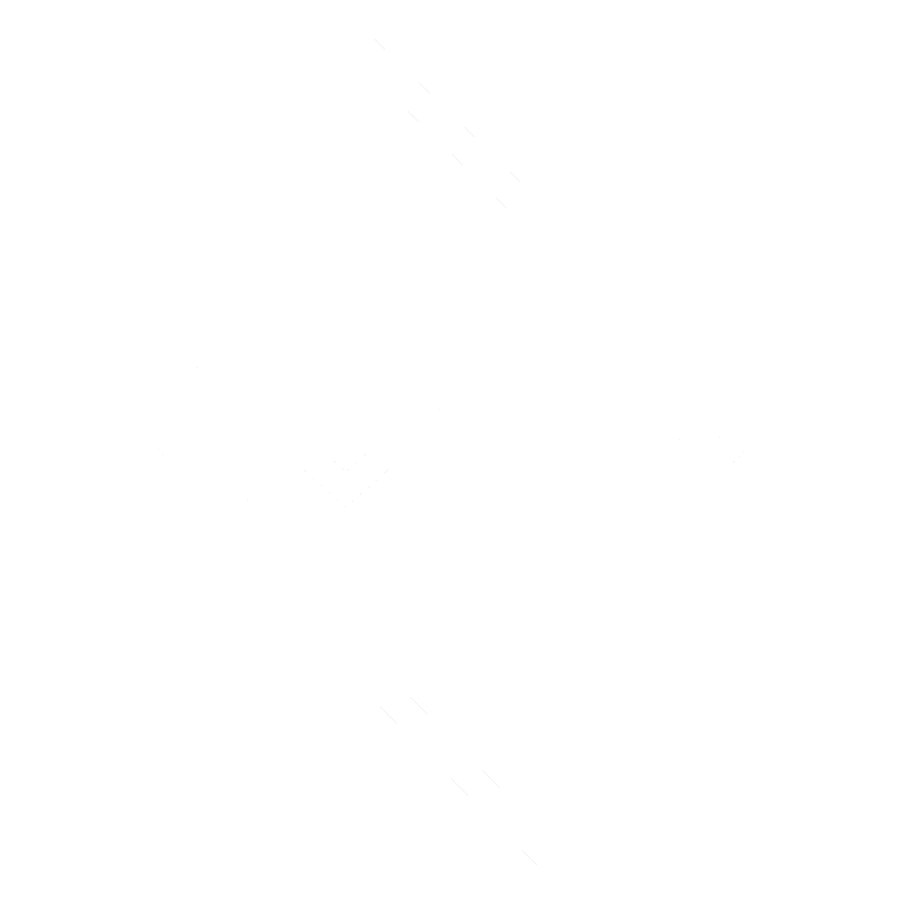 SVAIY ART